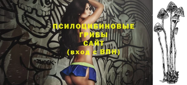 прущая мука Бородино