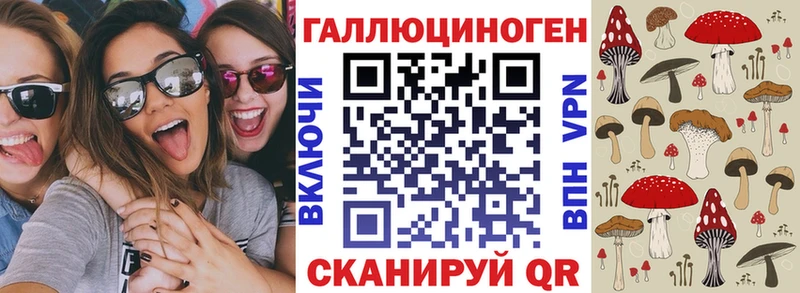 Псилоцибиновые грибы Cubensis  Купить где  Ужур 